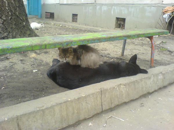 � ������� ��� ����� � �������...