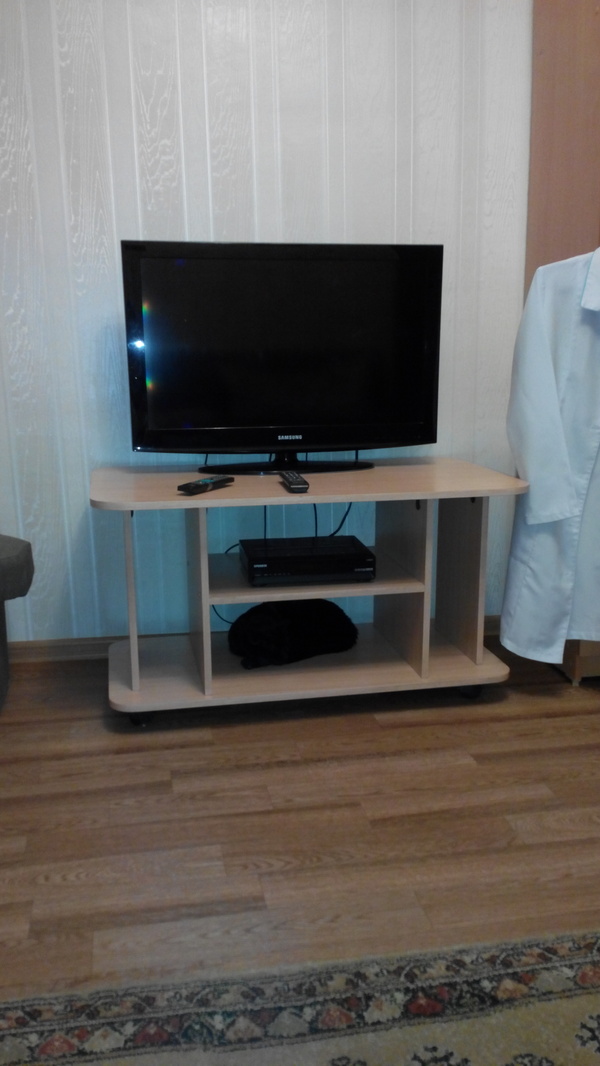 Игра - найди кота