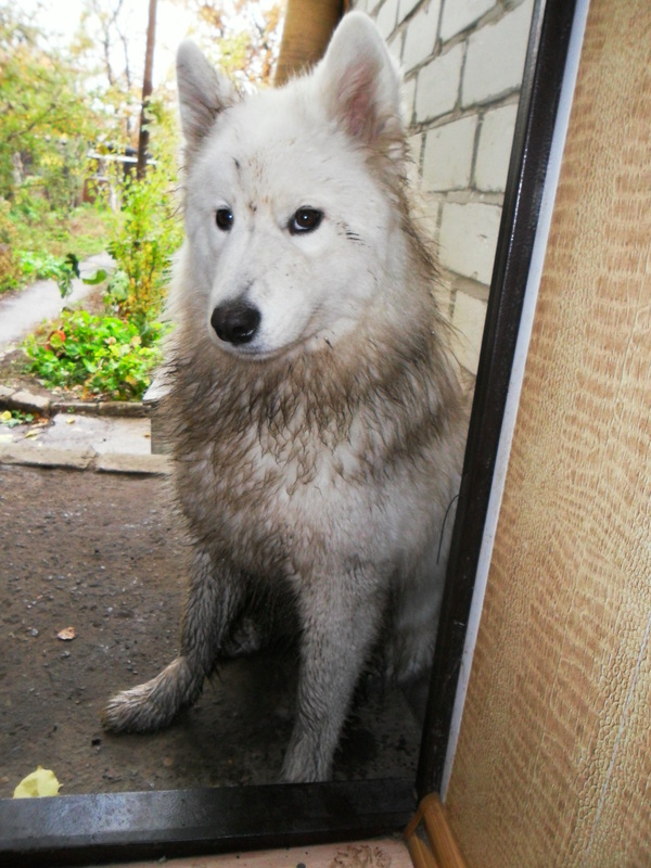 �������, ������ �� ���� ���� ����! ������ ����� ����� �������!