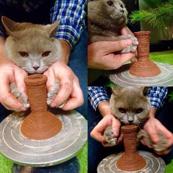 Pottery fluffy master - Handmade, cat, Bowl, Clay