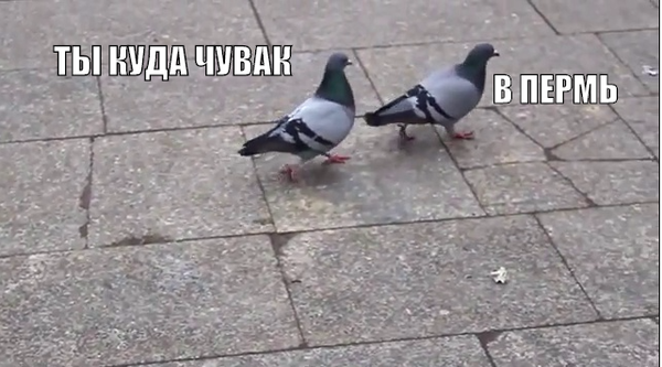 ����� ����� ������������ �������