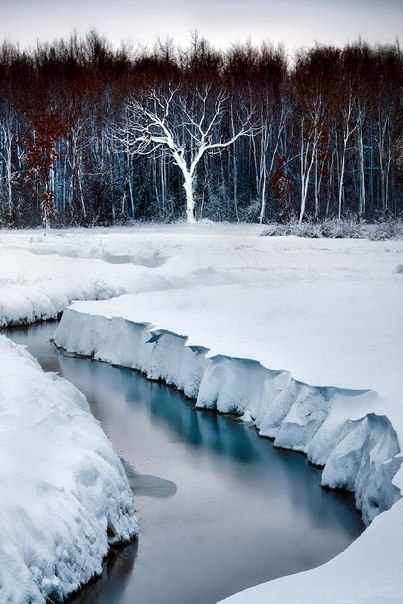 ������ - �������.