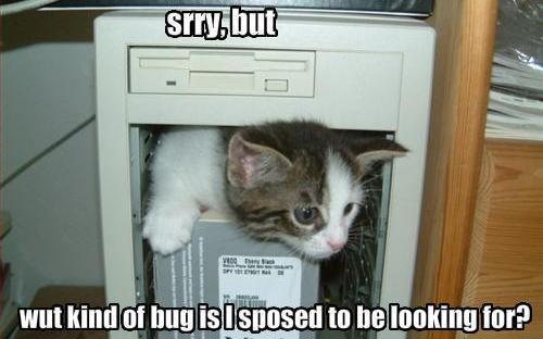 ������������, ����� � ������