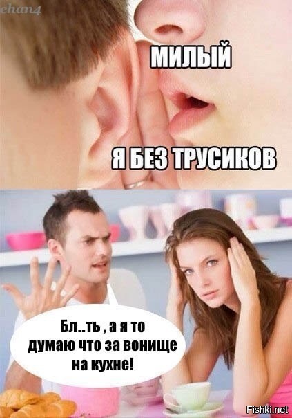 Трусики - NSFW, Кухня, Трусы, Не мое