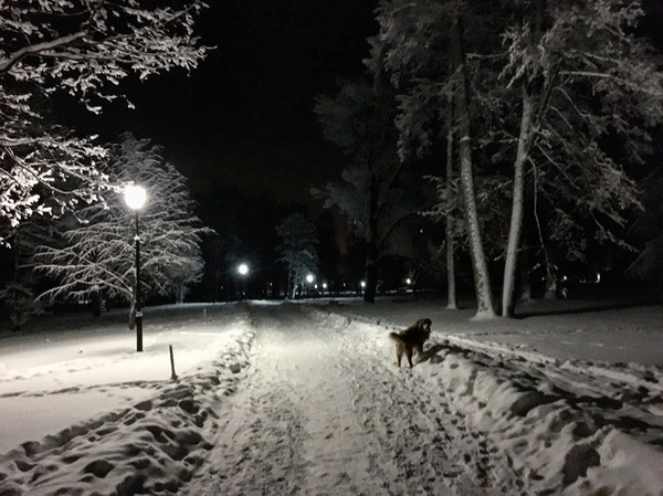 ������ ��������