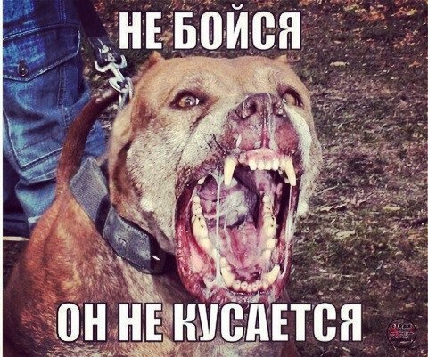 ����� ������� � �������