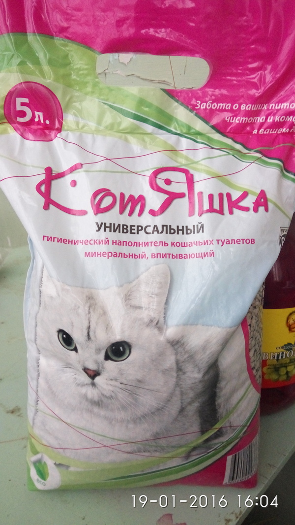 Пакет котяшек пожалуйста. Фото на Xiaomi note 3