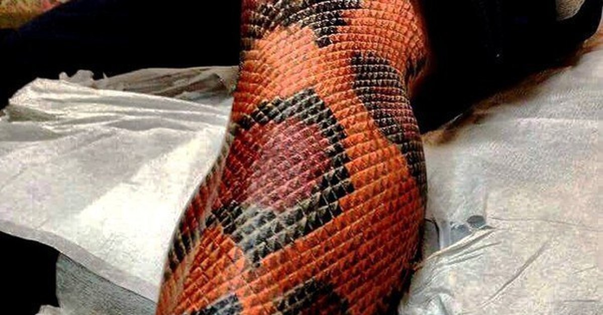 Змея под кожей. Тату змеиная кожа. Рукав змеиная кожа. Татуировка чешуя змеи. Тату шкура змеи.