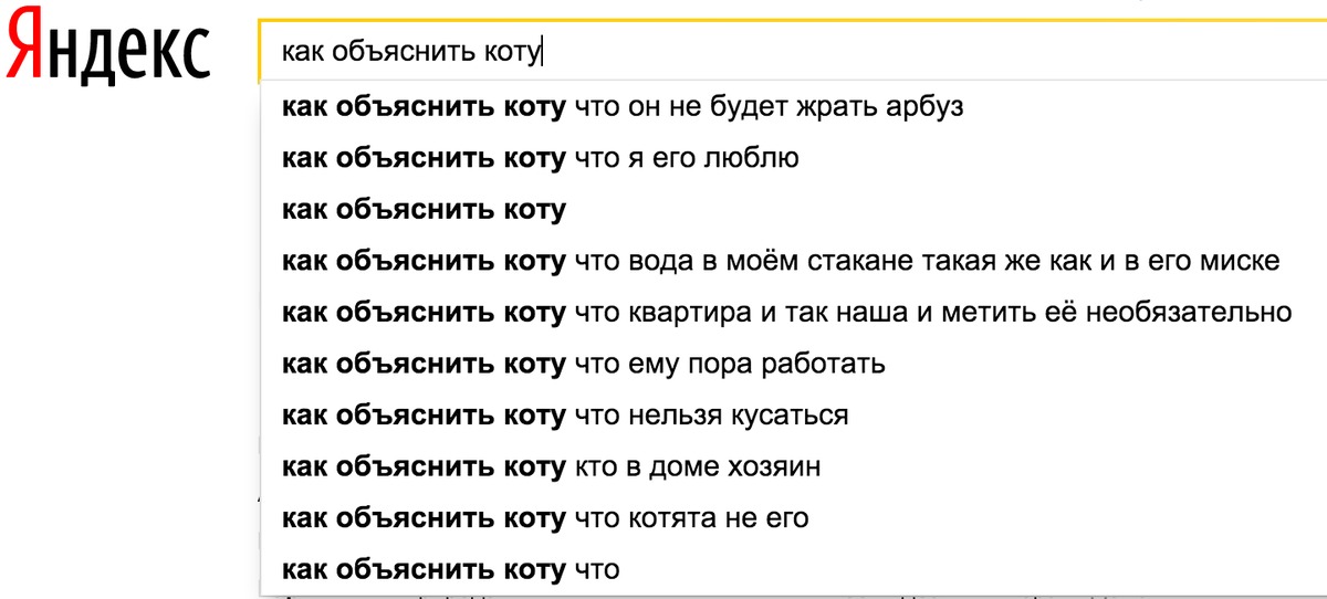 Можем объяснить. Как объяснить коту. Как объяснить коту что он не кот. Какмобьяснить коту что он. Как объяснить коту что он тупой.