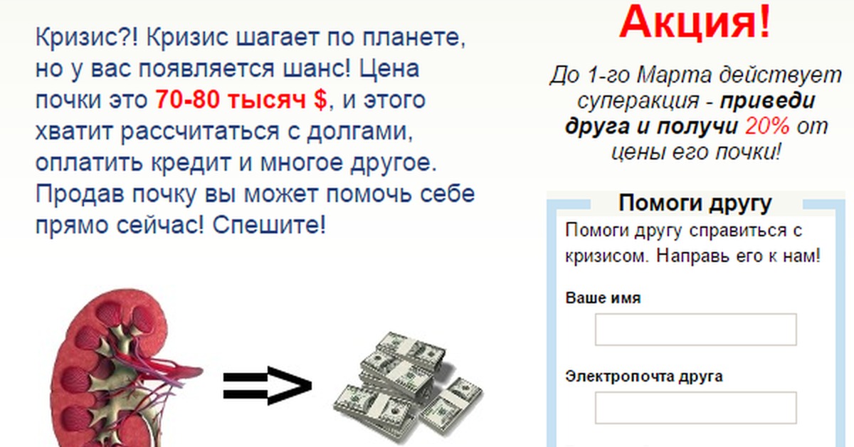 Сколько стоит продать почку 2024. Почки акция. Стоимость почки. Почка стоимость в рублях. Сколько стоит почка.