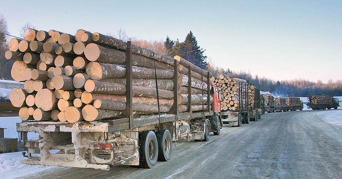 Перевоз деревьев. Перевозка леса. Транспортировка древесины. Транспортировка древесины. Лесовоз грузовой автомобиль.