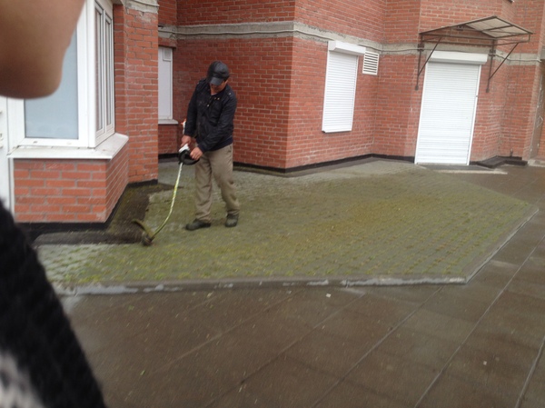 "Челябинская" трава настолько суровая!