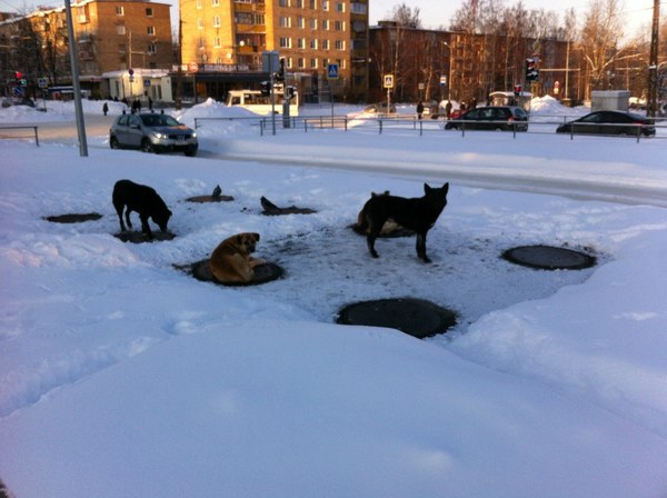 � ���������� .