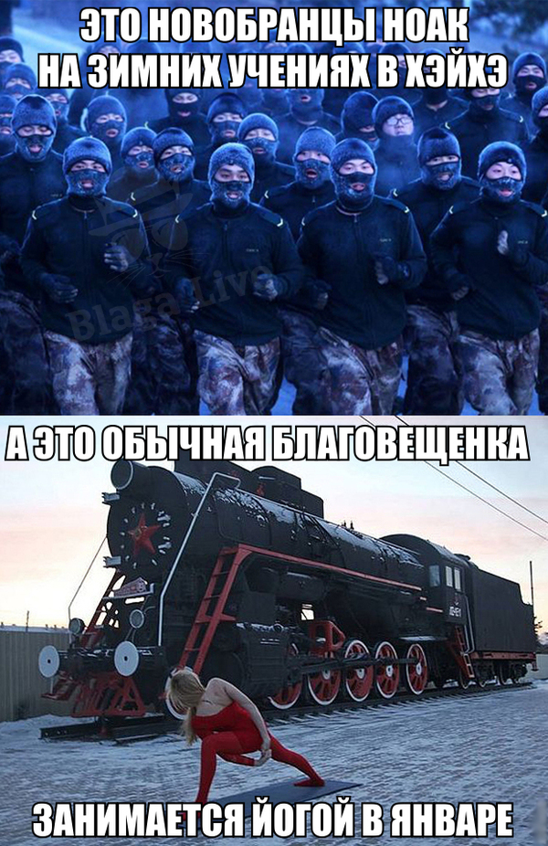   . , , , , , 