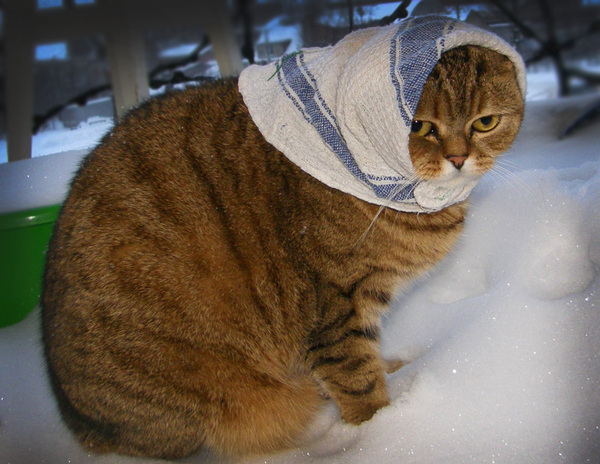 Главное здоровье, а не мода.