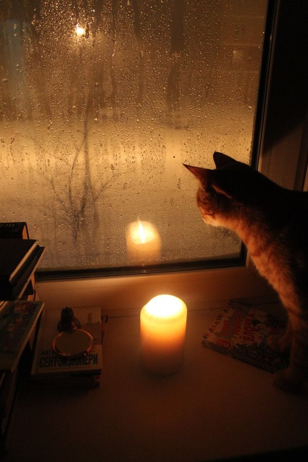 ����� Ҹ���� �������� �����