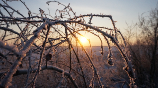 ������� ���� ��� � �����