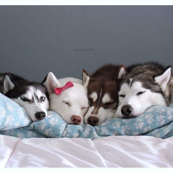 Опять фотографируешь?