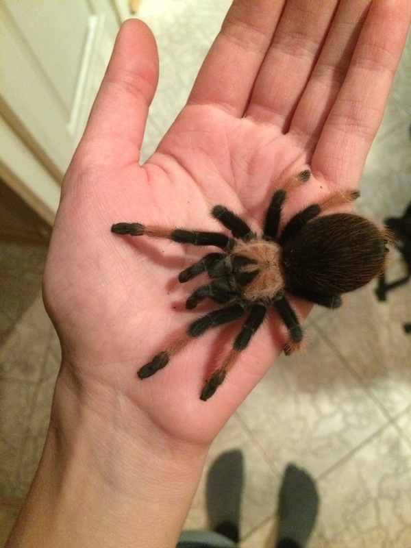 ������� ����� ������ ������