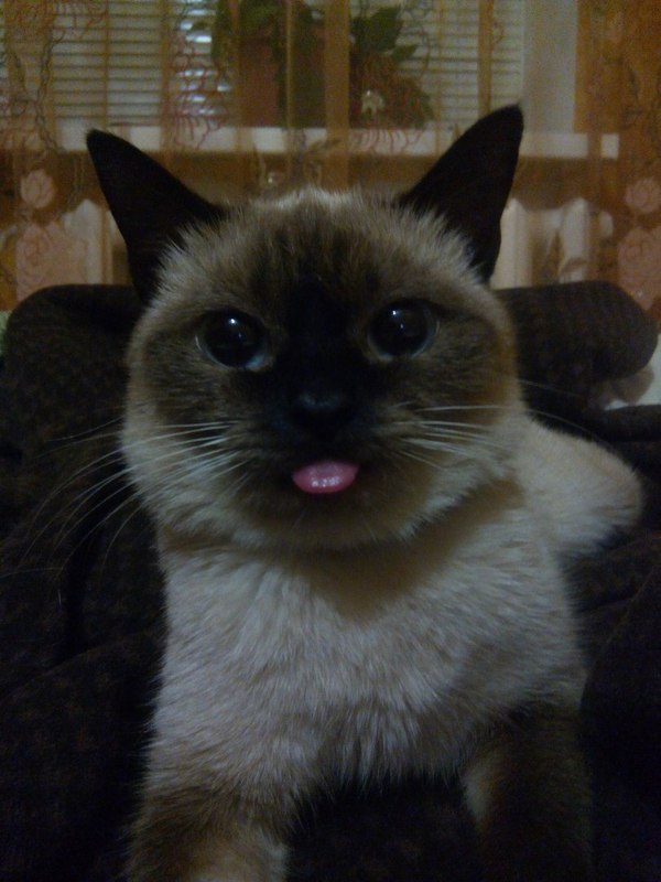 Тыжпрограммисты нужна Ваша помощь