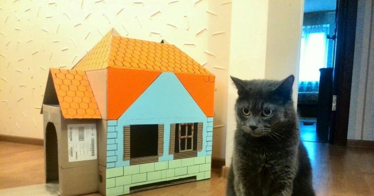 Кошкин дом домашний. Кошка дома. Домики для котов. Домик для котика. Кошкин домик.