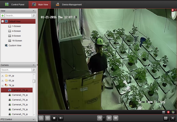 Правильный ботаник за работой