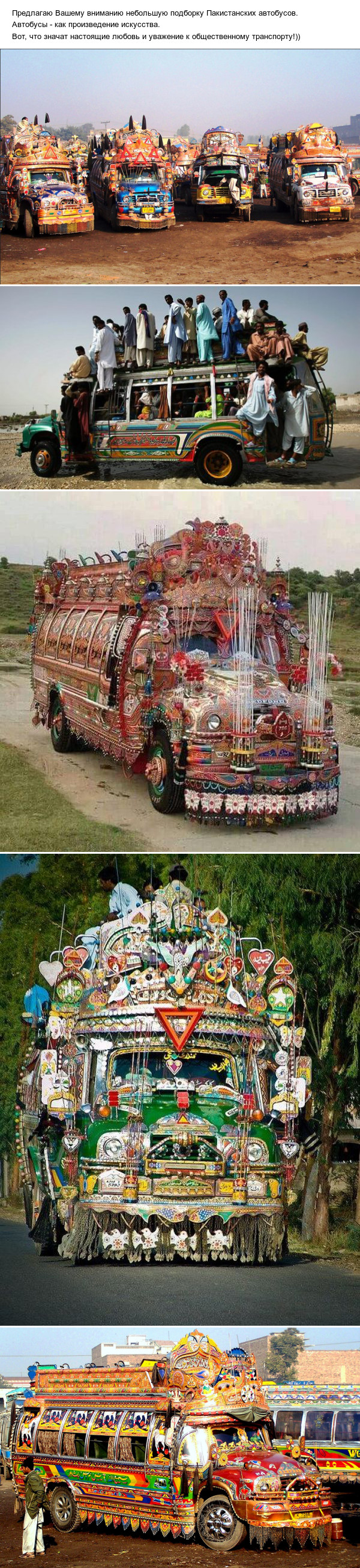 Pakistani buses - Bus, Pakistan, Public transport, Art, Hardened, Longpost