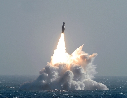 Морской котик