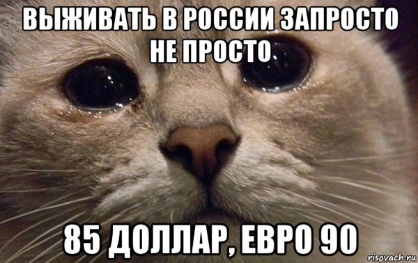 � ����������...