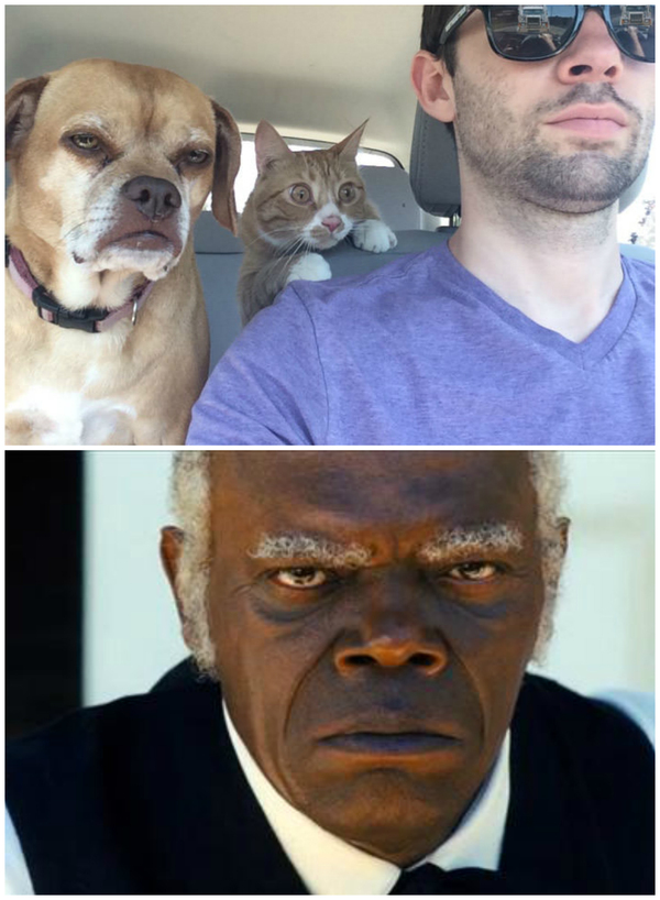 У каждого в мире есть двойник. Но обязательно ли это должен быть человек?..