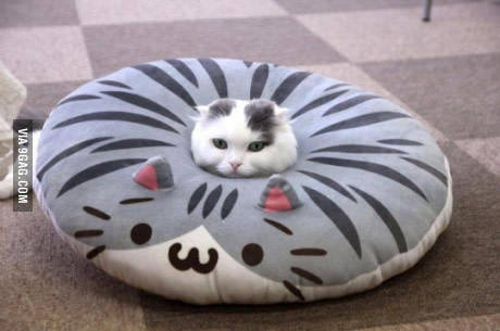 "����� ������ �������, �� ������ ��� ����� ��������."