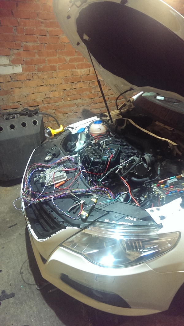 ��� ������)