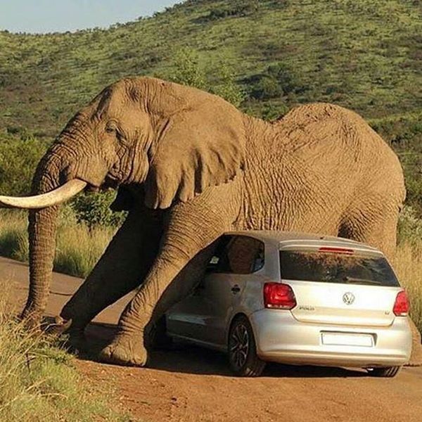 Ну куда ты едешь, человек...