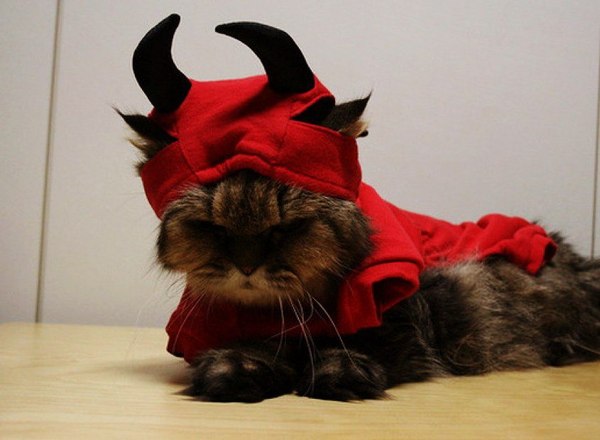 ��� ��� � ��� ��������, ������, ����������?