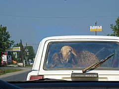 ������ ��������...