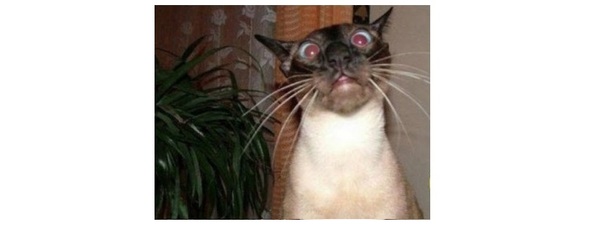 ���������� ��� �������. �������� - ���������� �� ����!