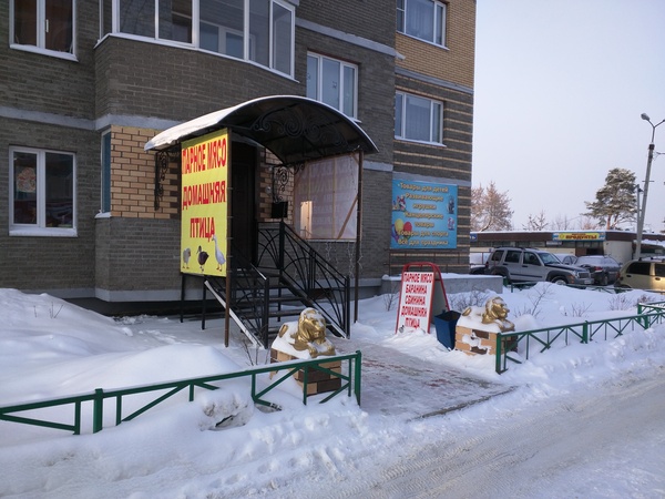 ������ �����