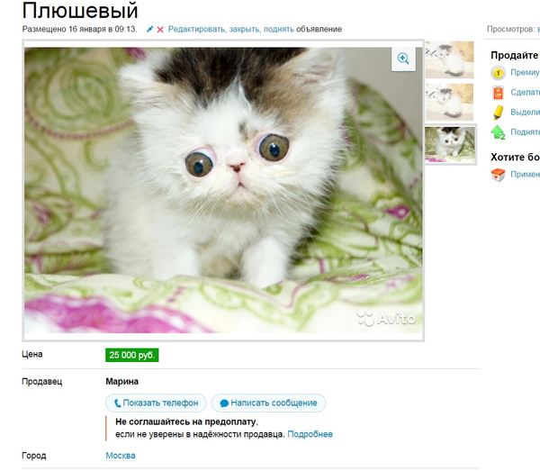 �������, �� ����?! � ������� �� ���� �-�