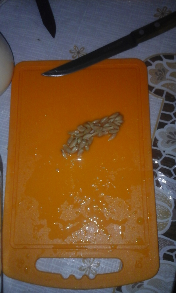 ����� � ��������