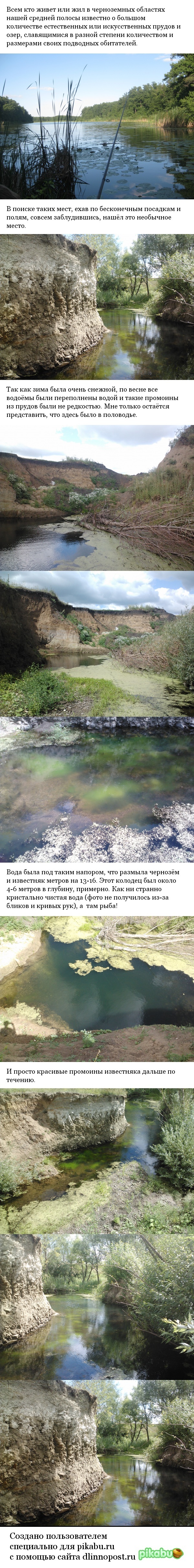 Маленький каньон в большом черноземье.