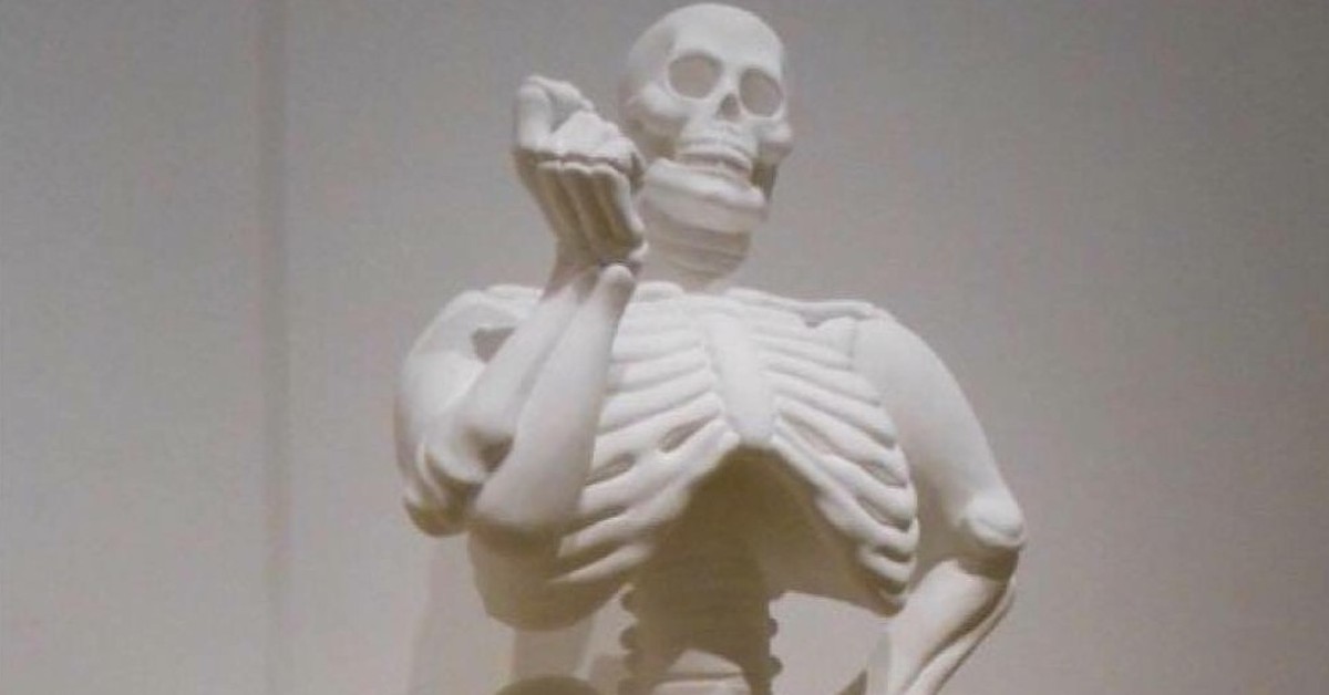 Широкая кость лица. Широкая кость. Скелет с широкой костью.