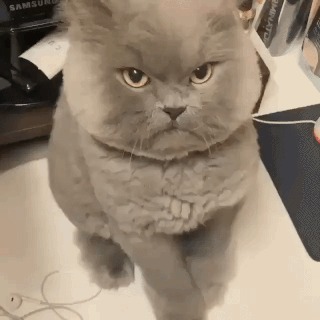 ,   , 