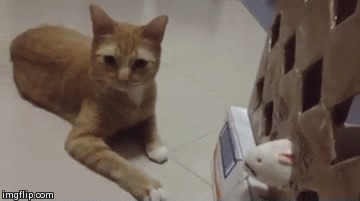 ΠΌΠ΅ΠΌ Π±Π΅Π· ΡΠΈΡ ΠΆΠΈΡΡ ΠΌΠΎΠΆΠ½ΠΎ Π½ΠΎ Π³ΡΡΡΡΠ½ΠΎ. Π‘ΠΌΠΎΡΡΠ΅ΡΡ ΡΠΎΡΠΎ ΠΌΠ΅ΠΌ Π±Π΅Π· ΡΠΈΡ ΠΆΠΈΡΡ ΠΌΠΎΠΆΠ½ΠΎ Π½ΠΎ Π³ΡΡΡΡΠ½ΠΎ. Π‘ΠΌΠΎΡΡΠ΅ΡΡ ΠΊΠ°ΡΡΠΈΠ½ΠΊΡ ΠΌΠ΅ΠΌ Π±Π΅Π· ΡΠΈΡ ΠΆΠΈΡΡ ΠΌΠΎΠΆΠ½ΠΎ Π½ΠΎ Π³ΡΡΡΡΠ½ΠΎ. ΠΠ°ΡΡΠΈΠ½ΠΊΠ° ΠΏΡΠΎ ΠΌΠ΅ΠΌ Π±Π΅Π· ΡΠΈΡ ΠΆΠΈΡΡ ΠΌΠΎΠΆΠ½ΠΎ Π½ΠΎ Π³ΡΡΡΡΠ½ΠΎ. Π€ΠΎΡΠΎ ΠΌΠ΅ΠΌ Π±Π΅Π· ΡΠΈΡ ΠΆΠΈΡΡ ΠΌΠΎΠΆΠ½ΠΎ Π½ΠΎ Π³ΡΡΡΡΠ½ΠΎ ΠΌΠ΅ΠΌ Π±Π΅Π· ΡΠΈΡ ΠΆΠΈΡΡ ΠΌΠΎΠΆΠ½ΠΎ Π½ΠΎ Π³ΡΡΡΡΠ½ΠΎ. Π‘ΠΌΠΎΡΡΠ΅ΡΡ ΡΠΎΡΠΎ ΠΌΠ΅ΠΌ Π±Π΅Π· ΡΠΈΡ ΠΆΠΈΡΡ ΠΌΠΎΠΆΠ½ΠΎ Π½ΠΎ Π³ΡΡΡΡΠ½ΠΎ. Π‘ΠΌΠΎΡΡΠ΅ΡΡ ΠΊΠ°ΡΡΠΈΠ½ΠΊΡ ΠΌΠ΅ΠΌ Π±Π΅Π· ΡΠΈΡ ΠΆΠΈΡΡ ΠΌΠΎΠΆΠ½ΠΎ Π½ΠΎ Π³ΡΡΡΡΠ½ΠΎ. ΠΠ°ΡΡΠΈΠ½ΠΊΠ° ΠΏΡΠΎ ΠΌΠ΅ΠΌ Π±Π΅Π· ΡΠΈΡ ΠΆΠΈΡΡ ΠΌΠΎΠΆΠ½ΠΎ Π½ΠΎ Π³ΡΡΡΡΠ½ΠΎ. Π€ΠΎΡΠΎ ΠΌΠ΅ΠΌ Π±Π΅Π· ΡΠΈΡ ΠΆΠΈΡΡ ΠΌΠΎΠΆΠ½ΠΎ Π½ΠΎ Π³ΡΡΡΡΠ½ΠΎ