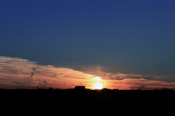 ������ �����