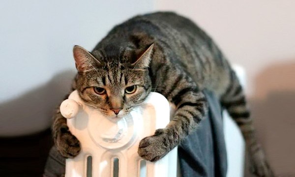 А на улице мороз