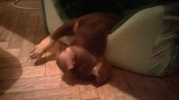 Мое состояние сегодня