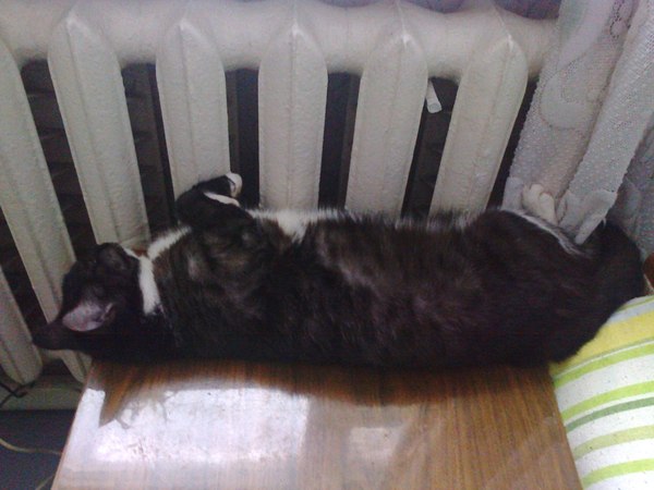 ������� � ���, ��� ������� � ���� � �������