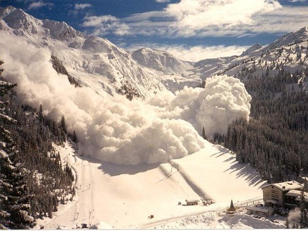 ��� ������ ������