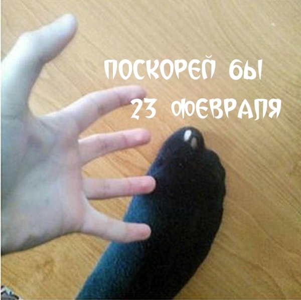 �������� ��. . .