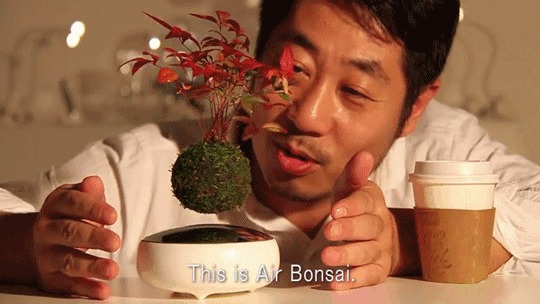     Air Bonsai , , , , , , 